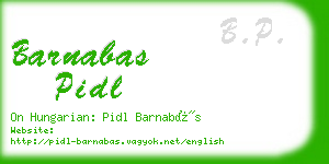 barnabas pidl business card